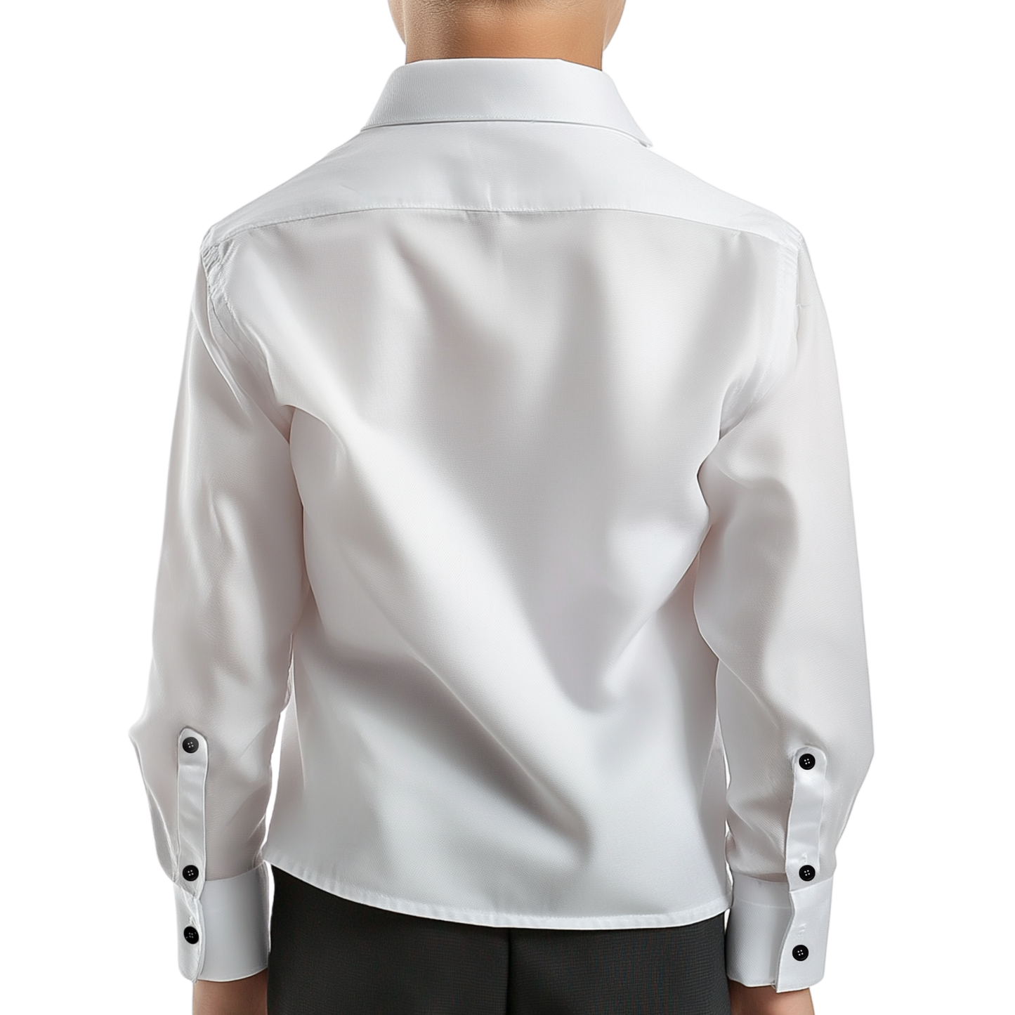 PARADISE Dress Shirt
