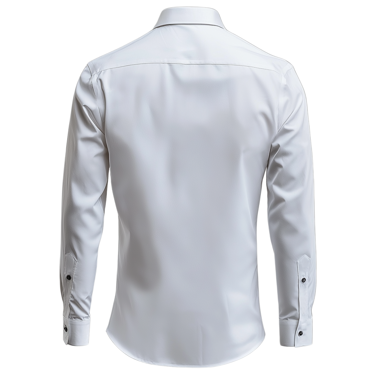 ARGOSIES Dress shirt
